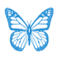 mariposa_logo